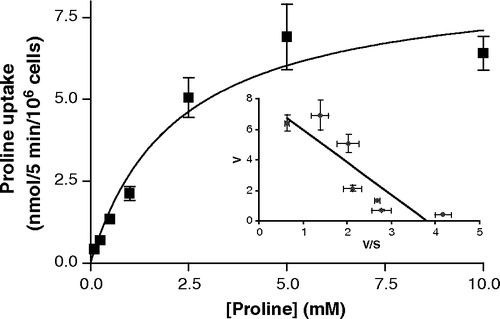 Figure 5.  Saturation kinetics of rabbit PAT1-mediated proline uptake. Proline uptake (0.1–10 mM) was measured at pH 5 in the absence of extracellular Na+ in cells transfected either with the empty pSPORT1 vector or rabbit PAT1 cDNA. Uptake represents the rabbit PAT1-specific uptake (calculated by subtraction of uptake in the vector-only transfected cells from uptake in the rabbit PAT1 cDNA-transfected cells). Inset, Eadie–Hofstee plot where V (uptake rate) is plotted against V/S (uptake rate/proline concentration). Results are mean±SEM (n=6).