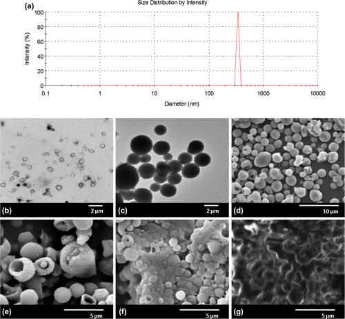 Figure 5. (a) DLS analysis of PHBV particles, TEM images of (b) PHBV particles, (c) BSA loaded PHBV particles and (d) SEM image of BSA loaded PHBV particles, Degradation of BSA loaded PHBV particles: (e) 3rd day, (f) 10th day and (g) 21st day.