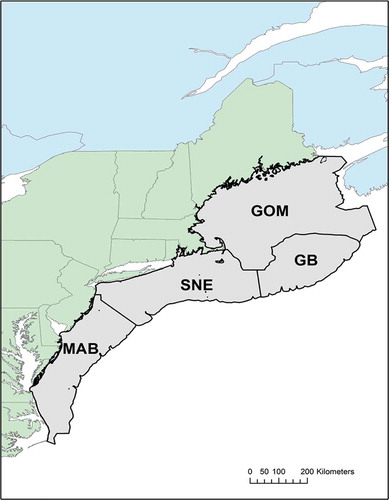 FIGURE 2. Map of the northeastern U.S. continental shelf, indicating the regions that were surveyed by the Northeast Fisheries Science Center (GOM = Gulf of Maine; GB = Georges Bank; SNE = southern New England; MAB = Mid-Atlantic Bight).