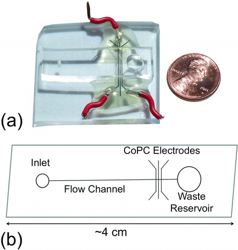 FIG. 1 (a) Picture of a PDMS microfluidic chip infused with CoPC electrodes for sensing reduced DTT quantity in solution. (b) Chip schematic, 10 μL injections of the DTT + PM solution enter the inlet and are pushed through the flow channel by a syringe pump. CoPC electrodes measure electrical conductivity of the solution at a potential of +200 mV. Conductivity of the solution is directly proportional to DTT concentration.