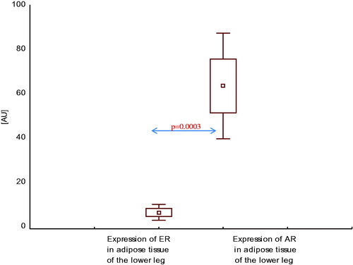 Figure 4. Expression of estrogen and androgen receptor mRNA in adipose tissue of the lower leg in healthy men.