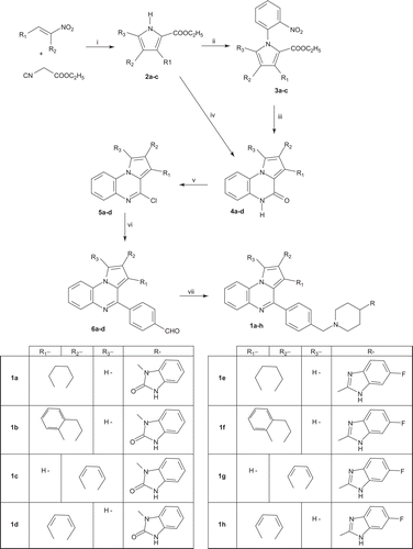 Scheme 1.  Reagents and conditions: (i) DBU, THF/t-BuOH, 50°C; (ii) 1-fluoro-2-nitrobenzene, Cs2CO3, DMF, Δ; (iii) Fe, CH3COOH, Δ; (iv) 1) o-iodotrifluoroacetanilide, K2CO3, CuI, L-proline, DMSO, 80°C; 2) H2O, 60°C (v) POCl3, Δ; (vi) OHC-C6H4-B(OH)2, Pd[P(C6H5)3]4, K2CO3, toluene, EtOH, Δ; (vii) 4-(2-ketobenzimidazolin-1-yl)piperidine or 4-(5-fluorobenzimidazolin-2-yl)piperidine, NaBH3CN, MeOH, Δ.