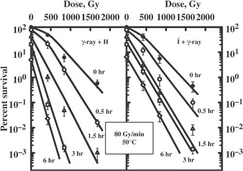 Figure 3. Survival curves for diploid yeast cells exposed to a sequential treatment with ionizing radiation (60Co γ-ray, 80 Gy/min) and hyperthermia (50°C) and the reverse order of these agents. Different lines are labelled with the duration of heat exposure (hours).