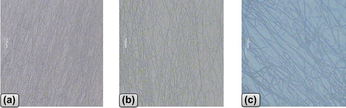 Figure 1. Optical microscopy images of drug-loaded PVA nanofibers at 10 (a), 40 (b) and 100 X (c) showing presence of beads in the nanofibers.