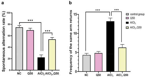 Figure 1. Effect of co-administration of quercetin with AlCl3 on the working memory, in AlCl3 induced AD rats (A: spontaneous alternation rate (%), B: frequency of the same arm returns). Data are displayed as mean± SEM (n = 6). * P < 0.05.