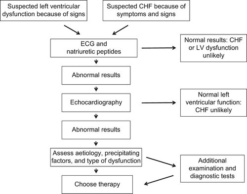 Figure 1. The algorithm for diagnosing congestive heart failure. The algorithm for diagnosing CHF according to prevailing Swedish recommendations, and based on European guidelines (Citation13,Citation14). Symptoms suggestive of CHF include dyspnoea at rest or during effort, tiredness, nocturnal dyspnoea or cough, nocturia, loss of appetite, nausea, depression, abdominal pain, and difficulty concentrating. Signs suggestive of CHF include pulmonary rales, peripheral oedema, tachycardia, jugular vein distension, hepatomegaly, tachypnoea, S3 or S4 gallop rhythm, pleural effusion, and ascites. Patients with suspected CHF because of symptoms and signs, or signs suggestive of left ventricular dysfunction; together with an abnormal ECG and/or elevated value of NT-proBNP were eligible for inclusion.