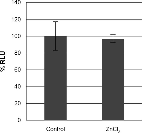 Figure 3 The effect of non-nano ZnCl2 on the viability of U373MG cells.Notes: U373MG cells were treated with or without 20 μg/mL ZnCl2. At 24 hours after treatment, cell viability was determined with the Celltiter-Glo assay. To calculate the relative luciferase activities, the luciferase activities of mock-treated cells were set to 100%. The data shown here represent the results from three independent experiments.Abbreviations: RLU, relative light unit; ZnCl2, zinc chloride.