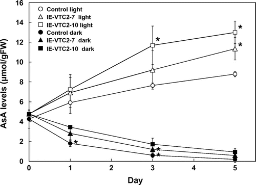 Fig. 4. Effects of transient expression of GGP/VTC2 on AsA levels under continuous light and dark conditions.Note: Two-week-old control and IE-VTC2 plants grown on MS medium under normal conditions were sprayed with 100 μM ES containing 0.1% (v/v) Tween 20 and then grown for 5 d under continuous light or dark conditions. The levels of AsA and DHA in extracts prepared from the control and IE-VTC2 plants at the indicated times were analyzed as described in “Materials and methods.” Data are means ± SD for independent experiments (n = 3). An asterisk indicates that the mean value was significantly different from that of the control plants under the same conditions as analyzed by Student’s t test (*p < 0.05).