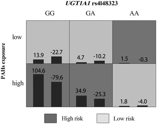 Figure 1. The best GMDR model of interaction among UGT1A1 rs4148323 and PAHs. Note: The graph was generated by the GMDR software. In each cell, the left bar represents a positive score, and the right bar a negative score. The cell with dark shading represents an interaction resulting in a high risk of having congenital heart diseases fetuses (the absolute magnitude of the positive score > the absolute magnitude of the negative score). The cell with light shading represents an interaction resulting in a low risk of having congenital heart diseases fetuses (the absolute magnitude of the positive score < the absolute magnitude of the negative score). The genotypes for UGT1A1 rs4148323 include GG, GA, and AA. The levels of PAHs exposure were categorized into two groups (high and low exposure groups).