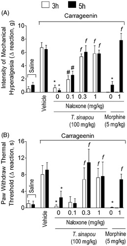 Figure 2. Tephrosia sinapou ethyl acetate extract inhibited carrageenin-induced mechanical and thermal hyperalgesia in an opioid receptor-dependent manner. Mice were treated with naloxone (0.1–1 mg/kg, s.c., 1 h) before T. sinapou (100 mg/kg, i.p.), morphine (5 mg/kg, i.p.) or vehicle. After additional 30 min, mice received carrageenin injection (100 µg/paw). The intensity of mechanical (Panel A) and thermal (Panel B) hyperalgesia were measured 3 (open bars) and 5 (closed bars) h after carrageenin injection by the electronic pressure-meter and hot-plate test. Results are presented as means ± SEM of experiments performed with five mice per group and are representative of two separated experiments. *p < 0.05 compared to the carrageenin positive control vehicle group, #p < 0.05 compared to the naloxone negative control group and fp < 0.05 compared to the naloxone negative control group and the dose of 0.1 mg/kg of naloxone (one-way ANOVA followed by Tukey’s test).