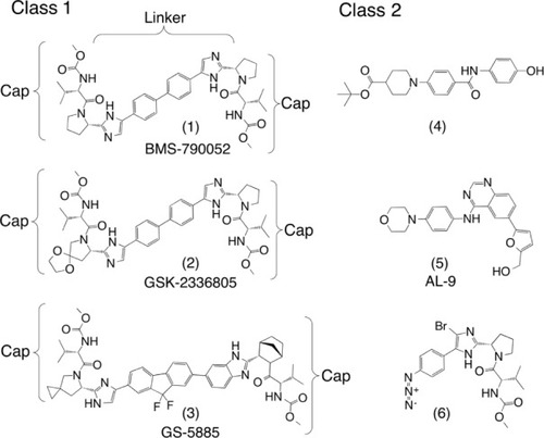 Figure 3 Representatives of the two general classes of NS5A-directed compounds found in the patent literature.Notes: The dimeric class 1 compounds (1) (daclatasvir), (2), and (3) (ledipasvir) are the only three currently under clinical evaluation for which structures have been released. The class 2 compounds are diverse chemotypes and include monomers that do not fit class 1 (4–6).