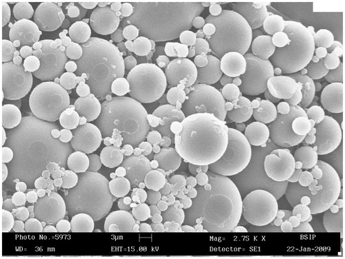 Figure 1. Scanning electron photomicrograph of blank polymeric microspheres of poly (dl-lactide).