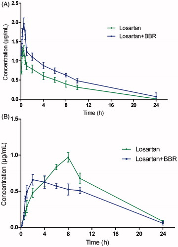 Figure 4. The mean concentration–time curves in rat plasma after oral administration of single losartan and both losartan and BBR, (A) losartan and (B) EXP3174.