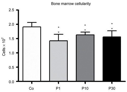 Figure 2.  Reduction in the bone marrow cellularity of mice treated with 1 (P1), 10 (P10) and 30 (P30) g/kg BW of P. aquilinum and supplemented with B1 vitamin in water ( 10 mg/ml) for 14 days (p < 0.0001, vs. control values; one-way ANOVA followed by Dunnett’s test). Data are expressed as the mean ± SD (n = 9).