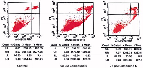 Figure 5. Flow cytometric analysis of LNCaP cells treated with compound 6.