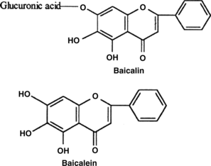 Figure 1 The chemical structure of baicalein and baicalin from the roots of Scutellaria baicalensis G..
