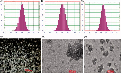 Figure 1. Particles size distribution and transmitted electronic microscopy (TEM) of CUR-NPs (A, D), DOX-NPs (B, E) and CURDOX-NPs (C, F).