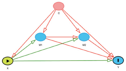 Figure 3 This DAG includes two mediators (M1 and M2) and confounders (C). The direct effect of X (eg, SNP) on the outcome Y (eg, FEV1) is represented by the arrow from X directly to Y, but there are multiple indirect paths from X to Y.