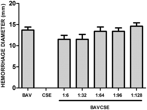 Figure 4. Effect of CSE on haemorrhage induced by B. atrox venom. BAV: 0.40 mg/50 μl PBS. BAVCSE 1:16: BAV + 3.2 mg CSE/kg/50 μl PBS; BAVCSE 1:32: BAV + 6.4 mg CSE/kg/50 μl PBS; BAVCSE 1:64: BAV + 12.8 mg CSE/kg/50 μl PBS; BAVCSE 1:96: BAV + 19.2 mg CSE/kg/50 μl PBS; BAVCSE 1:128: BAV + 25.6 mg CSE/kg/50 μl PBS. The results are presented as the mean ± SEM of five animals. Differences between BAVCSE groups and BAV group were analyzed by one-way analysis of variance (ANOVA), followed by Tukey–Kramer test. Results in BAVCSE experiments did not vary significantly as compared with BAV (p > 0.05).
