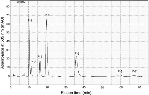 Figure 1. HPLC analysis of the red pigment fraction after silica gel column chromatography. Pigments were subjected to HPLC using an isocratic mobile phase of 55% aqueous methanol solution containing 0.2% acetic acid. Seven pigments are indicated as P-1 to P-7 according to the order of elution.