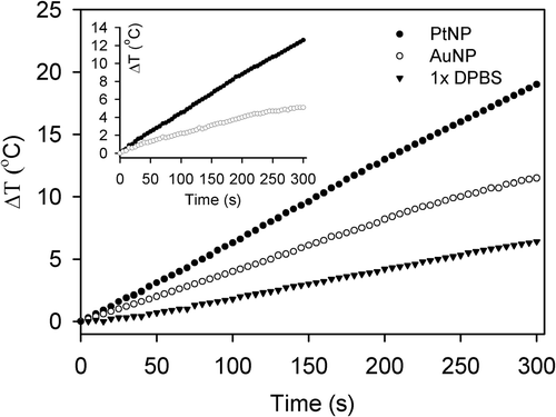 Figure 6. Heating rates of PtNPs (black circles) and AuNPs (white circles) in DPBS solution. PtNPs and AuNPs prepared in 1 × DPBS solution at a concentration of 2.5 ppm were exposed to a 40 W RF current and their temperatures were monitored for 5 min. The temperature changes of the DPBS solution were also measured under the same conditions as a control (black triangles). The temperature changes induced by PtNP and AuNP, calculated by subtracting the temperatures of the control from those of the NP solutions, are also displayed in the inset.