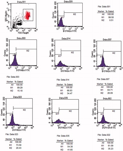 Figure 3. Original histogram of ROS of erythrocytes following exposure for 24 and 48 h to Group C, U and L. Blue area represents the quantity of ROS. Fig.001 is ROS at 0 h. Fig.003, 014 and 007 are ROS at 24 h in Group C, U and L, respectively. Fig.023, 035 and 048 are ROS at 48 h in Group C, U and L, respectively.