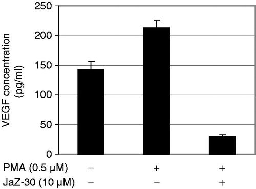 Figure 4. Concentration of VEGF in B16-GFP growth medium. B16-GFP cells were treated with/without 0.5 µM PMA and 10 µM JaZ-30 for 72 h. Details of experiments are in the Materials and methods section. Results are presented as mean ± SD of triplicates, p < 0.05, statistically significant.