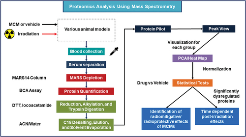 Figure 3. Experimental design for biomarker discovery of radiation exposure and MCM treatments using nanoUPLC-MS/MS.