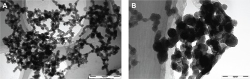 Figure 2 High-resolution transmission electron microscopy images of urinary nanocrystallites of two representative calcium oxalate stone patients.Notes: (A) Patient A, the bar: 500 nm; (B) patient B, the bar: 200 nm.