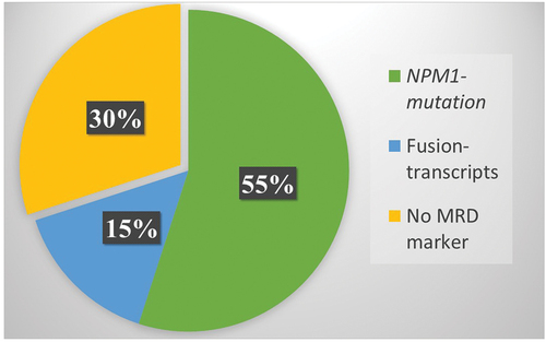 Figure 1. Molecular MRD targets in patients with FLT3 mutated AML in the NCRI AML19 trial [Citation8]. 55% of patients had co-occurring NPM1 mutations, and approximately 15% patients had fusion transcripts (i.e. CBFB:MYH11, RUNX1:RUNX1T1, NUP98:NSD1, or other rare fusion genes), while for the remaining 30% of patients no validated molecular MRD target was present.