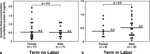 Figure 4. Amniotic fluid concentrations of SP-B in women at term with and without labor stratified by gender of the fetus. There was no significant difference in the median amniotic fluid concentration of SP-B stratified by fetal gender in both the term in labor and term not in labor groups (term no labor SP-B, female: median 0.5 μg/mL, range 0.2–1.9 μg/mL vs. male: median 0.5 μg/mL, range 0.2–1.1 μg/mL; p = 0.9, and term in labor SP-B, female: median 0.4 μg/mL, range 0.2–0.9 μg/mL vs. male: median 0.5 μg/mL, range 0.04–1.3 μg/mL; p = 0.8).