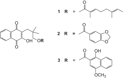 Figure 1.  Chemical structures of rhinacanthin-C (1), rhinacanthin-D (2) and rhinacanthin-N (3).