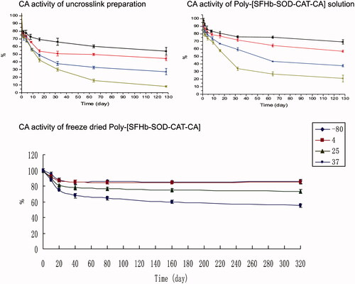 Figure 1. Storage stability of carbonic anhydrase (CA) at −80 °C, 4 °C, 25 °C and 37 °C for: (1) un-cross-linked free solution of Hb, SOD, CAT and CA; (2) polymerized solution of Poly-[SFHb-SOD-CAT-CA] and (3) freeze-dried polymerized Poly-[SFHb-SOD-CAT-CA].