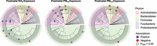 Figure 1. Dendrograms show the associations between NO2, PM10, and PM2.5 exposure with infant gut microbial taxa at 6 months of age using zero-inflated negative binomial regression (ZINBR) analyses. Associations are displayed on a branching tree that shows the phylogenetic relationship between taxa examined in this analysis where branch lengths do not represent evolutionary time. ZINBR models adjusted for infant sex, breastfeeding per day, socioeconomic status, birthweight, and infant age. The direction and magnitude of the association was determined from the incidence risk ratio’s (IRR) distance from an effect estimate which would indicate zero association (IRR = 1). IRRs greater than one represent positive associations (blue), IRRs less than one represent negative associations (red), and the node size denotes the strength of the association. Only associations that were statistically significant at a 10% false discovery rate (PFDR < 0.10) are shown. Nodes framed by a dashed circle indicate statistical significance at a 5% false discovery rate (PFDR <0.05). Each edge in the dendrogram represents various phylogenetic levels (inner to outer circle: kingdom, phylum, class, order, family, genus).