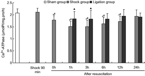 Figure 3. Effect of mesenteric lymph duct ligation on the Ca2+–ATPase activity in the renal tissue of hemorrhagic shock rats (mean ± SD, n = 6). *p < 0.05 versus the sham group; #p < 0.05 versus the shock 90 min; ▴p < 0.05 versus the shock group at same time points.