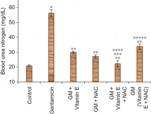 Figure 2. Effect of vitamin E and NAC on blood urea nitrogen levels. Notes: Each bar represents the mean ± SEM of six observations. *Significantly different from control at p < 0.05, **significantly different from model control at p < 0.05, ***significantly different from vitamin E at p < 0.05, ****significantly different from NAC at p < 0.05, *****significantly different from vitamin E + NAC at p < 0.05.