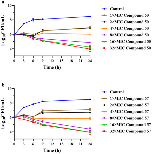 Figure 2. Time-kill curves for MRSA ATCC 43300 with different concentrations of compound 50 (a) and compound 57 (b).