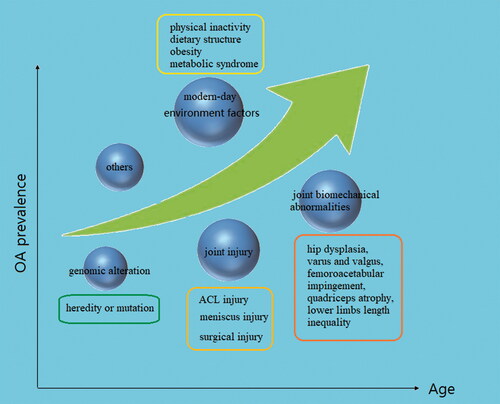 Figure 1. Risk factors of OA prevalence alone with the rising of age.