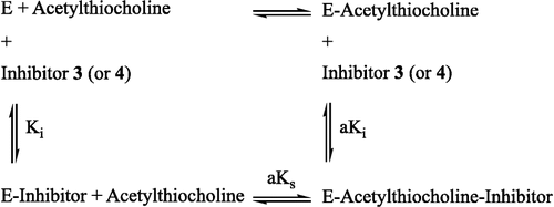 Scheme 1 The mechanism of human acetylcholinesterase inhibition by compounds 3 and 4.