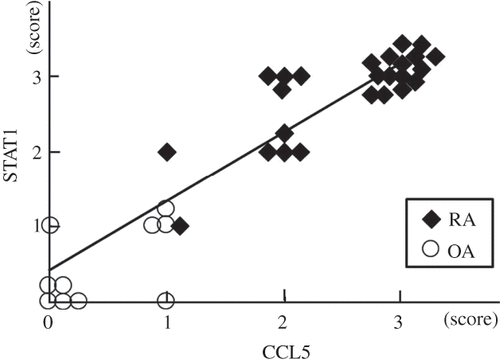 Figure 6. Relationship between STAT1 and CCL5 established by immunohistochemical analysis. Expression of STAT1 and CCL5 at the protein level is higher in the synovial cells of RA (n = 25) than in those of OA (n = 10). The STAT1 score correlates significantly with the CCL5 score (r = 0.93, p < 10–6).