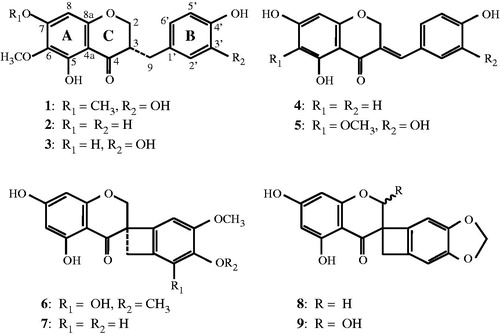 Figure 1. Chemical structures of nine homoisoflavones from the bulbs of S. scilloides.