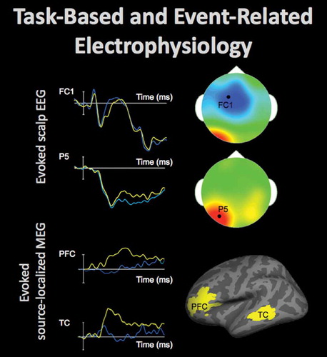 Figure 7. Electrophysiological activity in the brain can be evaluated using electroencephalography (EEG) and magnetoencephalography (MEG). These techniques measure changes in the electric and magnetic fields, respectively, which are presumed to originate in the brain sources and rapidly propagate toward the participants’ scalp, affording high temporal resolution of the recordings. Event-related data can elucidate neural processing during performance on a task, discerning differences typically lasting between 50 and 500 ms. Top-left shows time-courses of the average electrophysiological response evoked by stimuli from two conditions (40 trials per condition) at FC1 and P5 EEG sensors positioned on the scalp (by convention negative voltages are plotted up). The scalp topography at the time-points (indicated by white arrows), when the between-condition differences were maximal at each of these electrodes, is shown in top-right (the data from 64 EEG sensors, locations of FC1 and P5 sensors indicated by the black dot). The fronto-central effect shown in blue (the time-course displayed in blue is more negative) and the left-posterior effect shown in red (the time-course displayed in yellow is more negative) peaked approximately 50 ms apart and were likely generated by distinct neural sources. Models can be estimated that localize EEG and MEG data, recorded at the scalp, to the neural sources. Bottom-left shows time-courses of the average evoked electrophysiological activity (60 trials per condition) estimated at the cortical regions shown in bottom-right. The time-course in the experimental condition shown in yellow peaked a few dozens of ms earlier in the left temporal cortex (TC) than in the left prefrontal cortex (PFC).