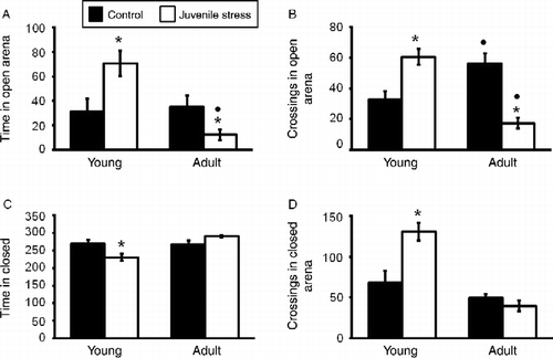 Figure 1.  Short- and long-term effects of juvenile variable stressor regimen (JUV-S) on exploratory and anxiety behavior in an elevated plus maze. Data were analyzed through a 2 (juvenile stressor vs. no stress) × 2 (age: juvenile vs. adult) between-groups ANOVA followed by HSD Tukey's post-hoc tests. Data are expressed as means ± SEM (n = 8–11/group). Compared with controls, JUV-S rats (A) spent more time in the open arms of the elevated plus maze when tested in juvenility and less time in the open arms of the apparatus when tested in adulthood, (B) were more active in the open arms when tested in juvenility and less active when tested in adulthood, (C) spent less time in the closed arms when tested in juvenility but no differences were observed when tested in adulthood, and (D) were more active in the closed arms when tested in juvenility but these effects were absent when rats were tested as adults; *, represents significantly different from controls, p < 0.05; •, represents significantly different from the same group juveniles, p < 0.05.