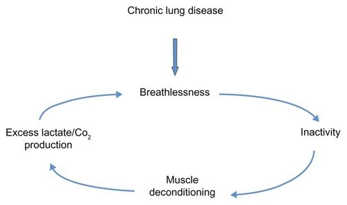 Figure 1 The downward spiral of disease.