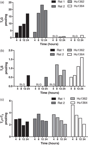 Figure 5. T4 metabolite levels in media during incubation time. SCH were incubated with 0.05 µM [125I]-T4 (rat) or 0.1 µM [125I]-T4 (human) for on Culture Day 6. Metabolite appearance were determined over time (4–24 h). Metabolites were separated using the established UPLC method. Metabolites analyzed are (a) T4G, (b) T4S and (c) T3 + rT3. Data are expressed as pmol/mg cellular protein (mean). Data represent the average of duplicates in a single experiment. Limits of detection = 0.5 pmol/mg cellular protein. BLQ = below limits of quantitation.