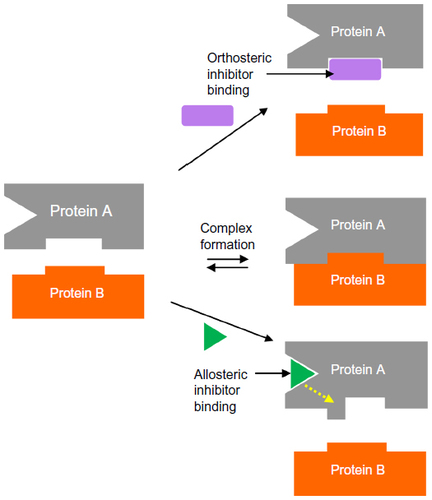 Figure 1 Orthosteric inhibition of a protein–protein interaction versus allosteric inhibition.