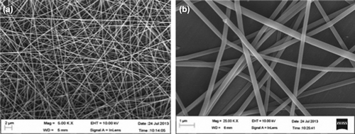 Figure 1. (a) SEM image of plain PVA nanofiber and (b) drug loaded nanofibers.