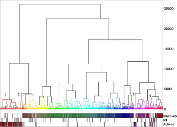 Figure 7 Dendrogram associated corresponding to the best hierarchy based on pharmacophore fingerprint (Pfp_Jchem/Canberra/Energy). The numbers indicate the branches corresponding to active clusters (on the right of the number).