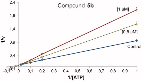 Figure 8. Kinetic data determined for 5b suggesting an ATP-competitive behaviour.