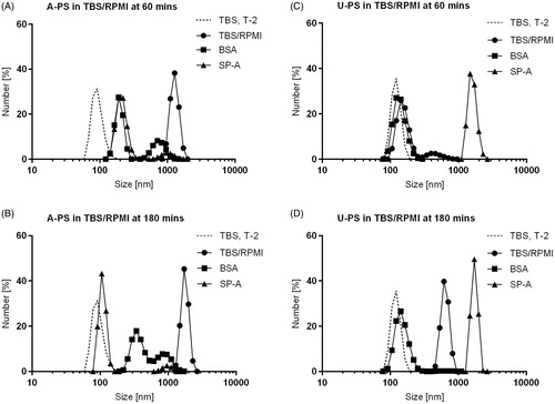 Figure 1. Dynamic light scattering analysis of the size distributions of 100 nm A-PS and U-PS particles in TBS/RPMI. Size distributions of 100 nm A-PS (A and B) and 100 nm U-PS (C and D) nanoparticles in TBS-RPMI; 12.5 cm2/mL of particles in TBS with 5 mM Ca2+ were mixed with 50 µg/mL BSA (▪) or 50 µg/mL SP-A (▴) or TBS only (•) for one hour before being mixed with RPMI (TBS:RPMI; 2:3) and their size distributions immediately measured at 37 °C (A and C, T60) and again two hours later (B and D, T180). The final protein concentration was 10 µg/mL, and nanoparticle concentrations were 2.5 cm2/mL. Size distributions of nanoparticles in TBS only at T-2 are shown as dashed line.